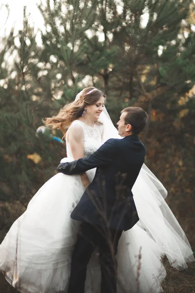 Elegant beautiful wedding couple posing in park at sunset — Stock Photo, Image