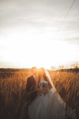 Parkta günbatımında poz zarif güzel düğün çifti