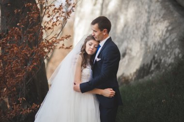 Muhteşem düğün çift öpüşme ve orman büyük kayalar ile sarılma