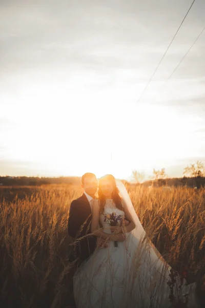 Elegante hermosa pareja de boda posando en el parque al atardecer — Foto de Stock