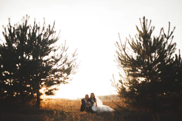 Элегантная красивая свадебная пара позирует в парке на закате — стоковое фото