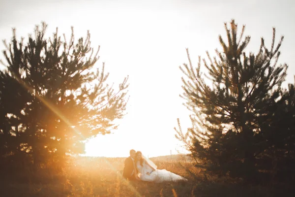 Elegante hermosa pareja de boda posando en el parque al atardecer — Foto de Stock