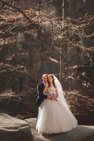 Lindo casamento casal beijos e abraços na floresta com grandes pedras — Fotografia de Stock