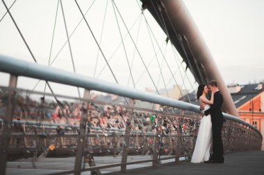 Muhteşem düğün çift, gelin ve damat Krakow Bridge'de poz