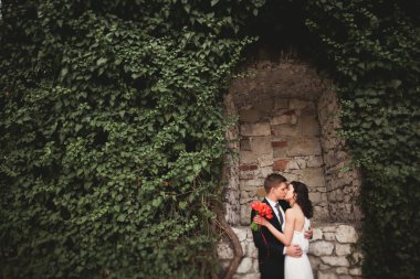 Onların düğün günü bitkiler çalılar ağaçlar güzel duvara yakın poz muhteşem yeni evli