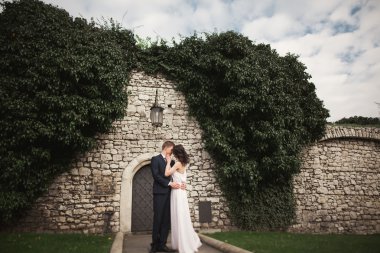 Zarif güzel düğün çift, gelin ve damat çalılar duvarına yakın park poz