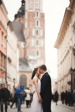Muhteşem düğün çift, Gelin, damat öpüşme ve kalabalığın içinde ayakta sarılma