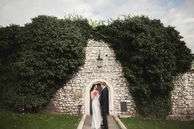 Onların düğün günü bitkiler çalılar ağaçlar güzel duvara yakın poz muhteşem yeni evli