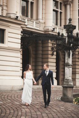 Güzel düğün çift, Gelin, damat öpüşme ve tiyatro arka planı sarılma