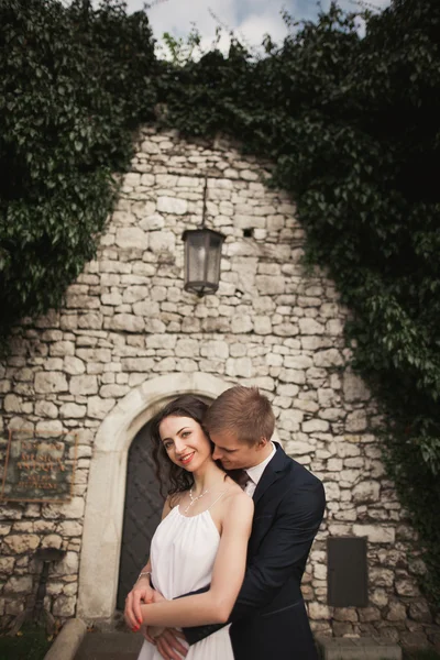 Elegante bella coppia di sposi, sposa e sposo in posa nel parco vicino a un muro di cespugli — Foto Stock