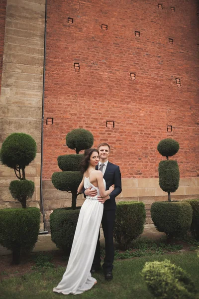 Glückliches Hochzeitspaar umarmt und lächelt im Park mit dekorativen Büschen — Stockfoto