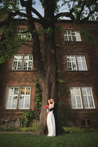 Elegant beautiful wedding couple, bride and groom posing in park near a wall of bushes