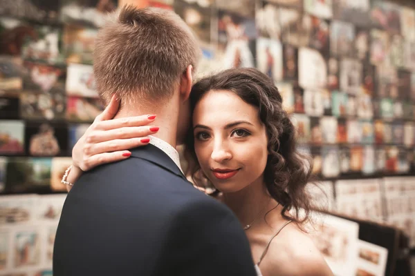 Gorgeous wedding couple, bride, groom kissing and hugging against the background of paintings — Stock Photo, Image