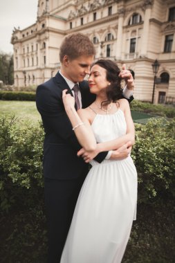 Güzel düğün çift, Gelin, damat öpüşme ve tiyatro arka planı sarılma