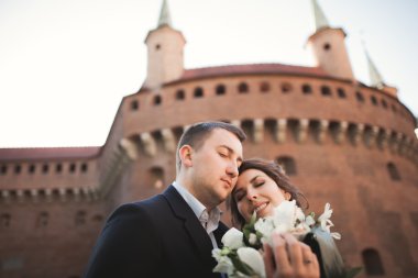 Mutlu düğün çift, damat, Gelin pembe elbise ile sarılma ve birbirlerine arka plan üzerinde gülümseyen duvarlar kalede