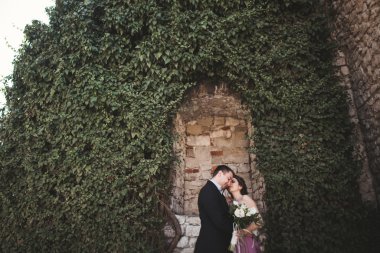 Sarılma ve öpüşme arka plan güzel bitkiler üzerinde lüks Düğün çifti mağara antik kale