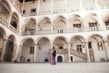 Güzel çift, erkek, kız uzun pembe elbise eski kale sütunlar yakınındaki poz ile. Krakow Vavel