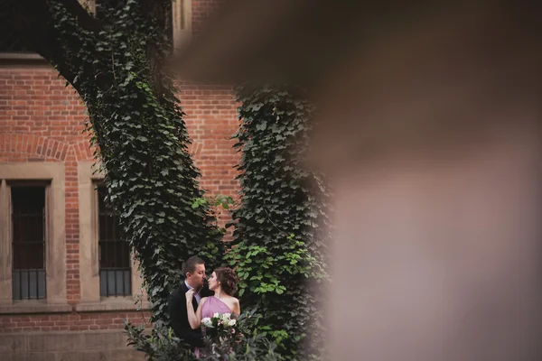 Coppia europea, sposa e sposo che si baciano nel parco vicino al grande albero — Foto Stock