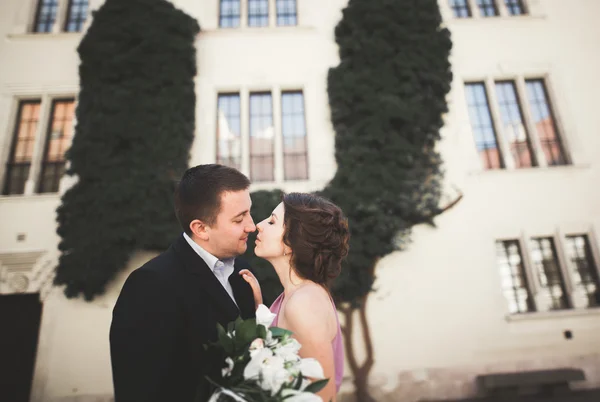 Schönes Paar, Mann, Mädchen mit langem rosa Kleid, das in einem alten Schloss in der Nähe von Säulen posiert. Krakauer Bauchnabel — Stockfoto