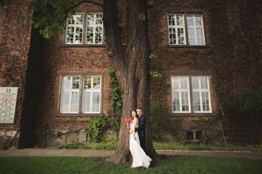 Onların düğün günü bitkiler çalılar ağaçlar güzel duvara yakın poz muhteşem yeni evli