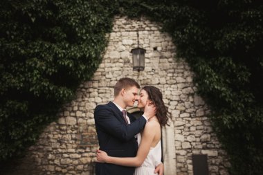 Zarif güzel düğün çift, gelin ve damat çalılar duvarına yakın park poz