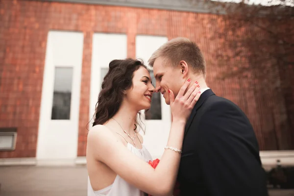 Pareja de boda, novia y novio posando cerca de un edificio elegante — Foto de Stock