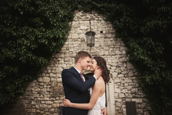 Zarif güzel düğün çift, gelin ve damat çalılar duvarına yakın park poz