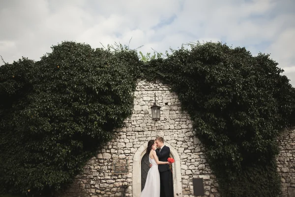 Wunderschöne frisch Vermählte posieren in der Nähe schöne Wand von Pflanzen Sträucher Bäume in ihrem Hochzeitstag — Stockfoto