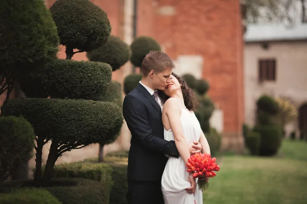 Glückliches Hochzeitspaar umarmt und lächelt im Park mit dekorativen Büschen — Stockfoto