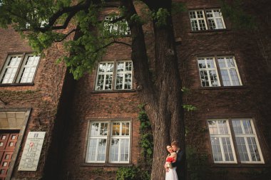 Zarif güzel düğün çift, gelin ve damat çalılar duvarına yakın park poz