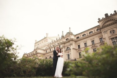 Güzel düğün çift, Gelin, damat öpüşme ve tiyatro arka planı sarılma