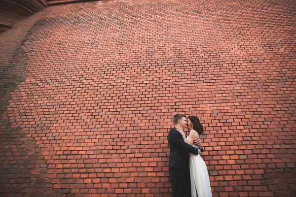 Merveilleux couple de mariage de luxe posant près de grand mur — Photo
