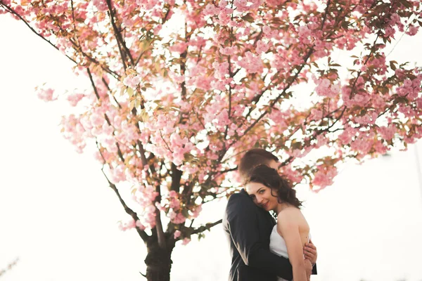 Eleganta kärleksfulla bröllop par kyssar och kramar nära träd med blommor — Stockfoto