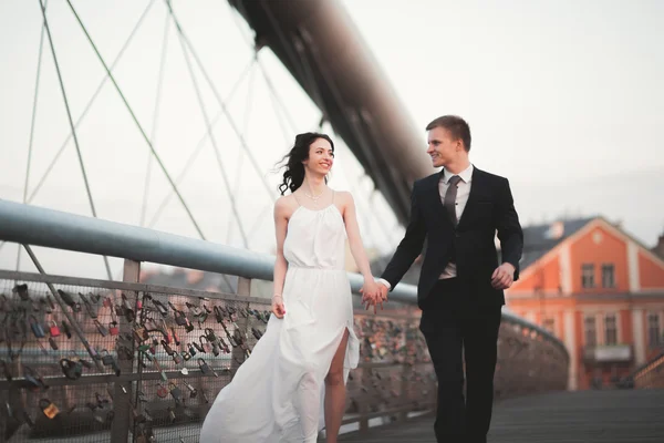 Muhteşem düğün çift, gelin ve damat Krakow Bridge'de poz — Stok fotoğraf
