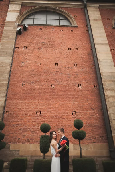 Elegante pareja de enamorados besándose y abrazándose en el parque contra el telón de fondo de la Gran Muralla —  Fotos de Stock