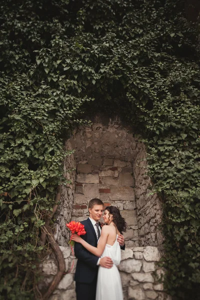 Elegante hermosa pareja de boda, novia y novio posando en el parque cerca de una pared de arbustos —  Fotos de Stock