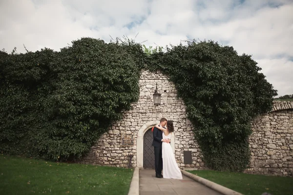 Onların düğün günü bitkiler çalılar ağaçlar güzel duvara yakın poz muhteşem yeni evli — Stok fotoğraf