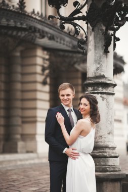 Güzel düğün çift, Gelin, damat öpüşme ve tiyatro arka planı sarılma