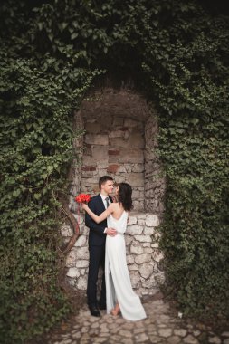 Zarif güzel düğün çift, gelin ve damat çalılar duvarına yakın park poz