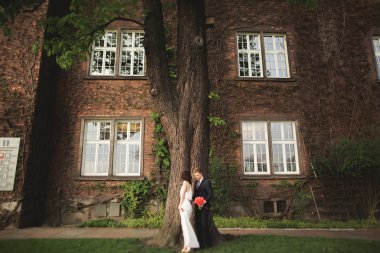 Onların düğün günü bitkiler çalılar ağaçlar güzel duvara yakın poz muhteşem yeni evli