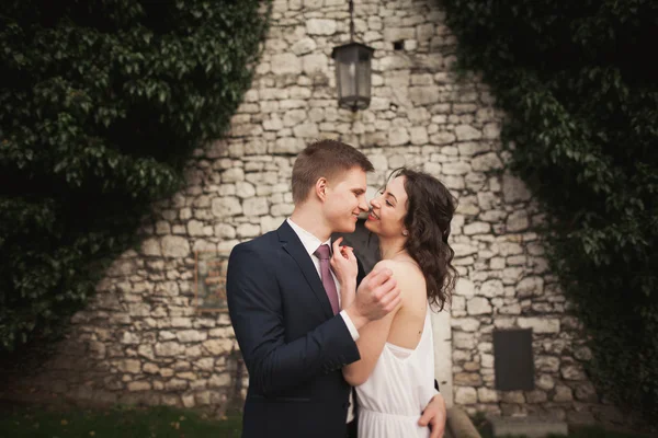 Eleganta vackra bröllopsparet, bruden och brudgummen poserar i park nära en vägg av buskar — Stockfoto