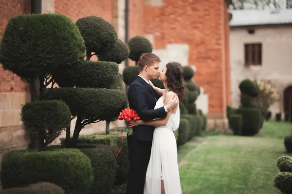 Elegante coppia di nozze amorevole baci e abbracci nel parco sullo sfondo della Grande Muraglia — Foto Stock