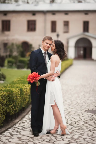 Elegante noivo elegante suave, noiva sorrindo e beijando perto do parque — Fotografia de Stock