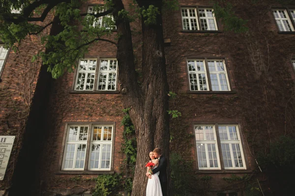 Splendido sposo posa vicino a un bellissimo muro di piante cespugli alberi nel loro giorno del matrimonio — Foto Stock