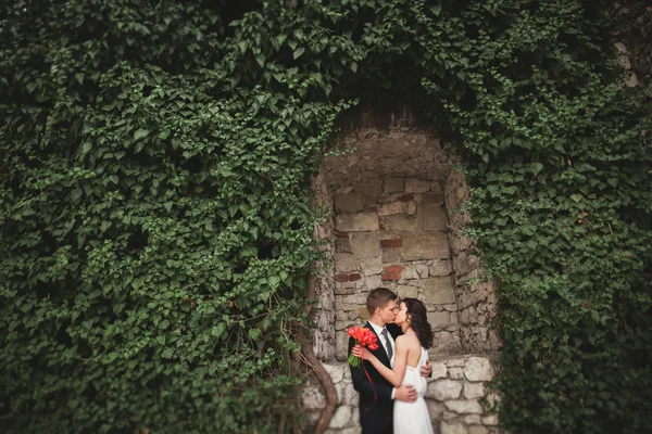 Splendido sposo posa vicino a un bellissimo muro di piante cespugli alberi nel loro giorno del matrimonio — Foto Stock