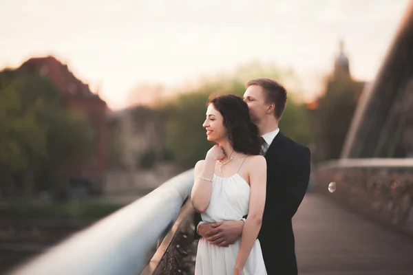 화려한 웨딩 커플, 신부와 신랑의 크 라 코 프에서 다리에 포즈 — 스톡 사진