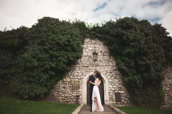 Nádherná novomanželka pózuje krásné zdi stromů, keřů rostliny v jejich svatební den — Stock fotografie