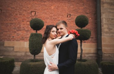 Mutlu düğün kaç sarılma ve dekoratif çalılar ile parkta gülümseyen