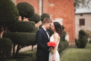 Mutlu düğün kaç sarılma ve dekoratif çalılar ile parkta gülümseyen