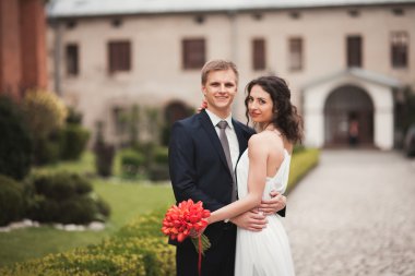 Zarif nazik şık damat, Gelin gülümseyen ve yakın park öpüşme